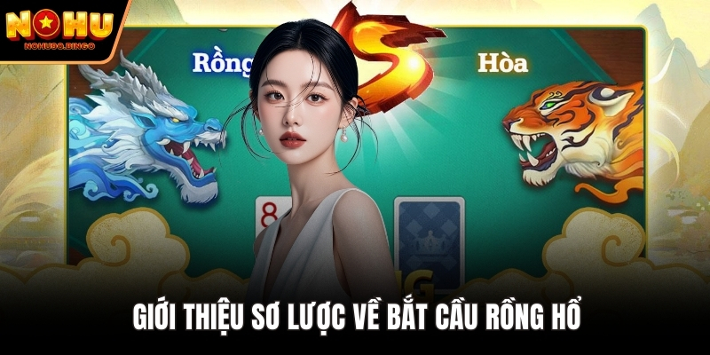 Giới thiệu sơ lược về bắt cầu Rồng Hổ