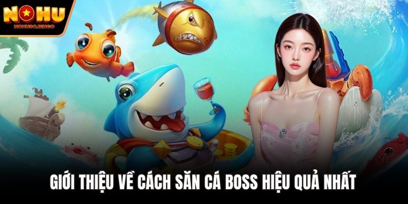 Giới thiệu về cách săn cá boss hiệu quả nhất 